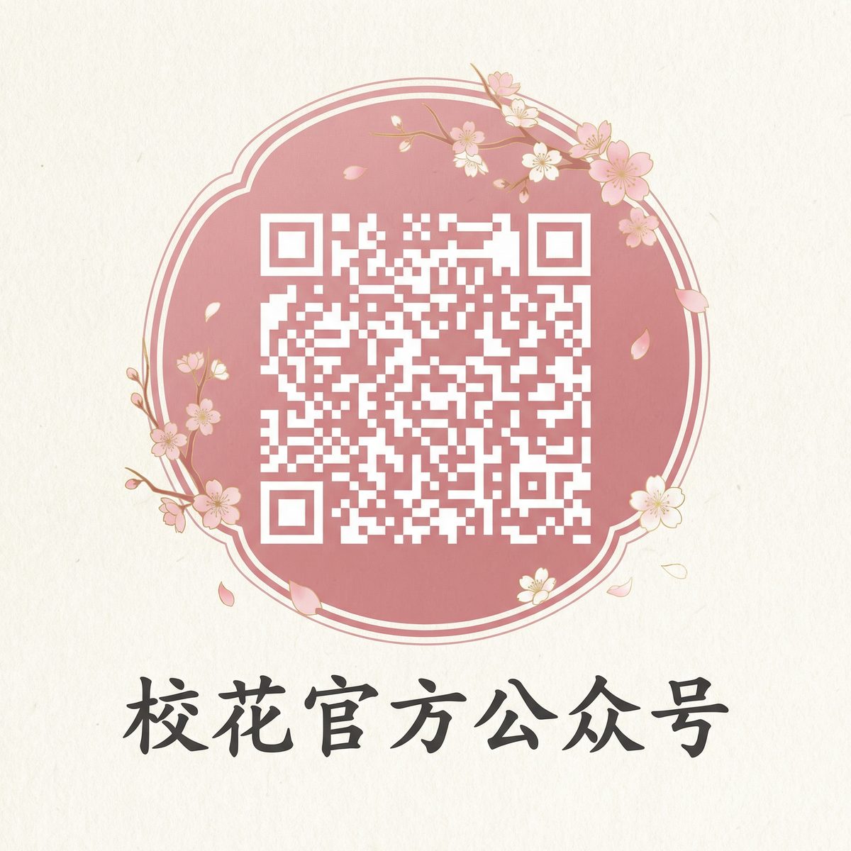 探花传媒微信公众号二维码扫码关注